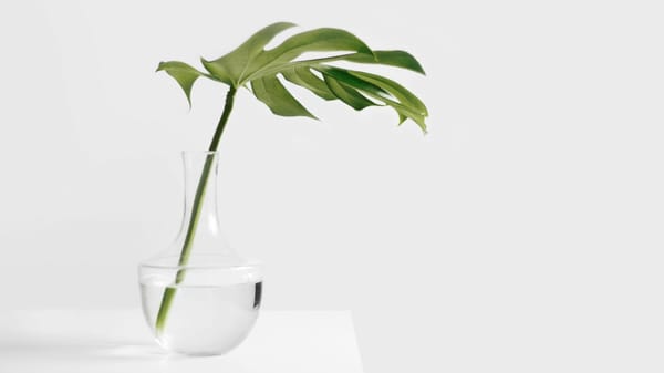 From skateboards to spaceships: Gall’s law in design